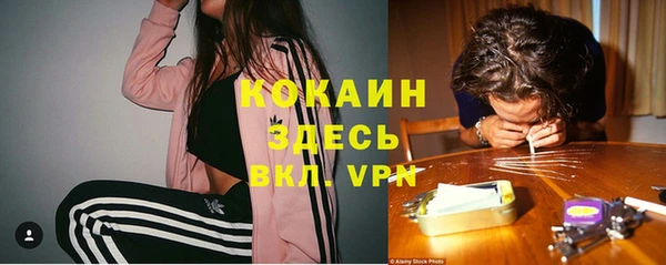 а пвп мука Алзамай