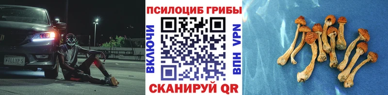 KRAKEN рабочий сайт Урай Псилоцибиновые грибы Magic Shrooms